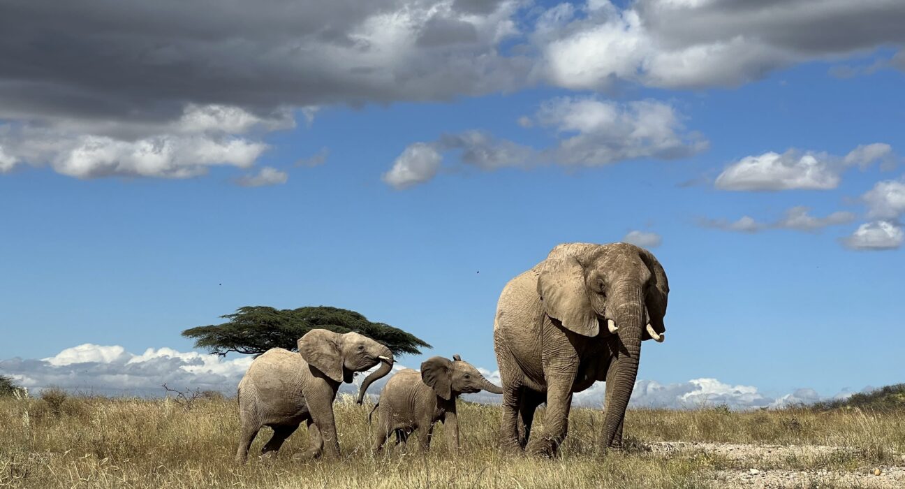 los-paises-acuerdan-una-hoja-de-ruta-para-la-financiacion-de-la-proteccion-de-la-biodiversidad
