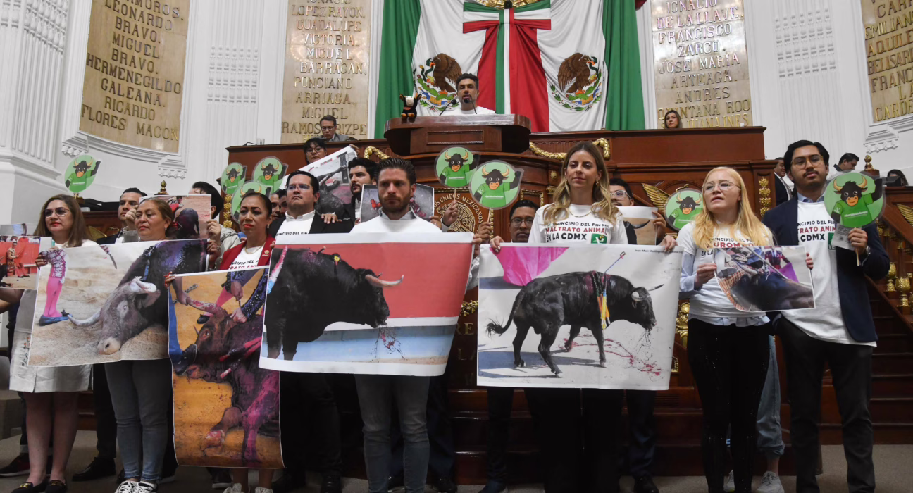 ni-muerte-ni-heridas-en-el-ruedo:-ciudad-de-mexico-veta-las-corridas-de-toros-“con-violencia”