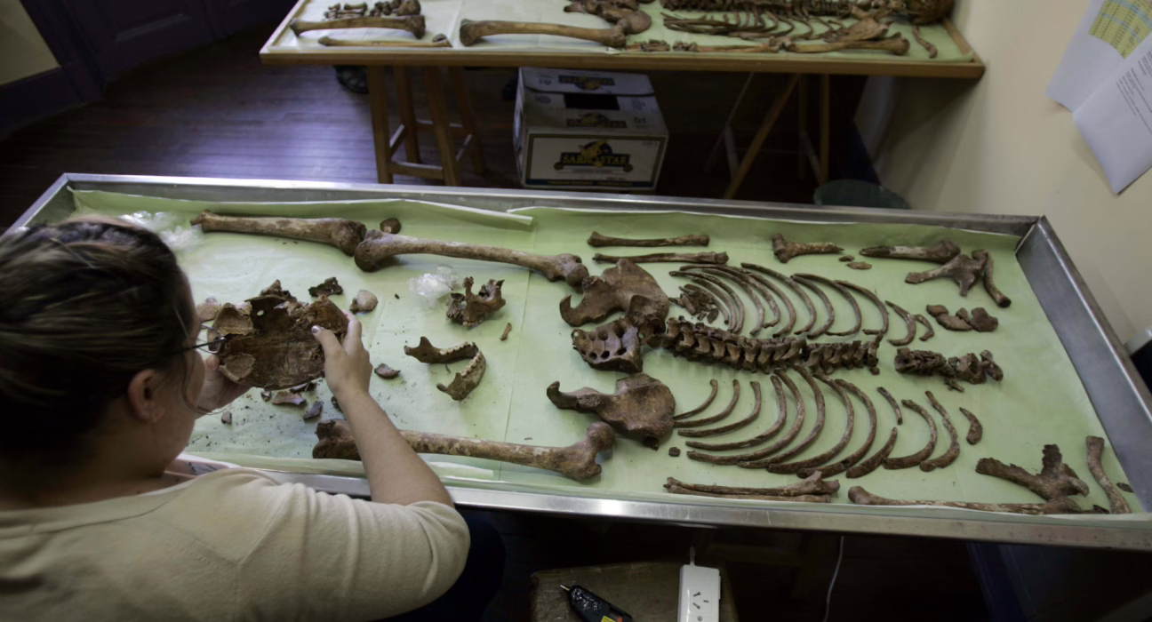 el-equipo-argentino-de-antropologia-forense:-40-anos-de-busqueda-e-identificacion-de-desaparecidos-de-la-dictadura