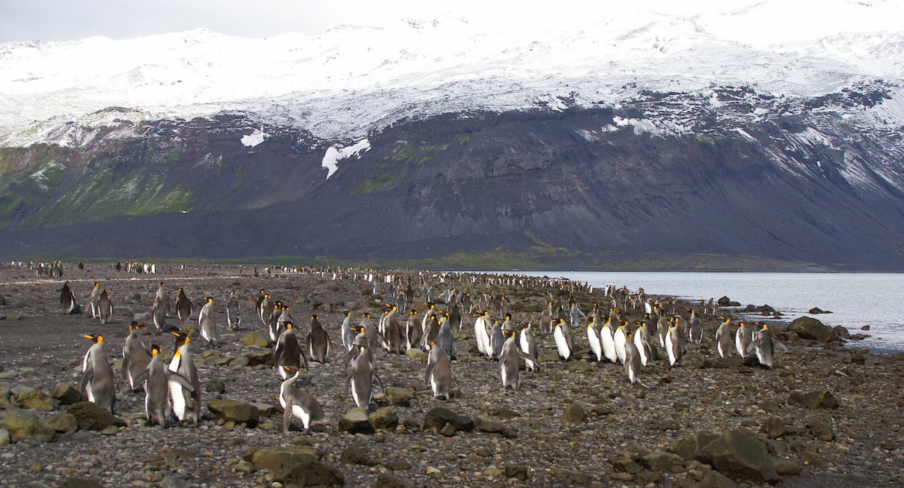 heard-y-mcdonald,-las-islas-habitadas-solo-por-pinguinos-y-focas-a-las-que-trump-ha-impuesto-aranceles