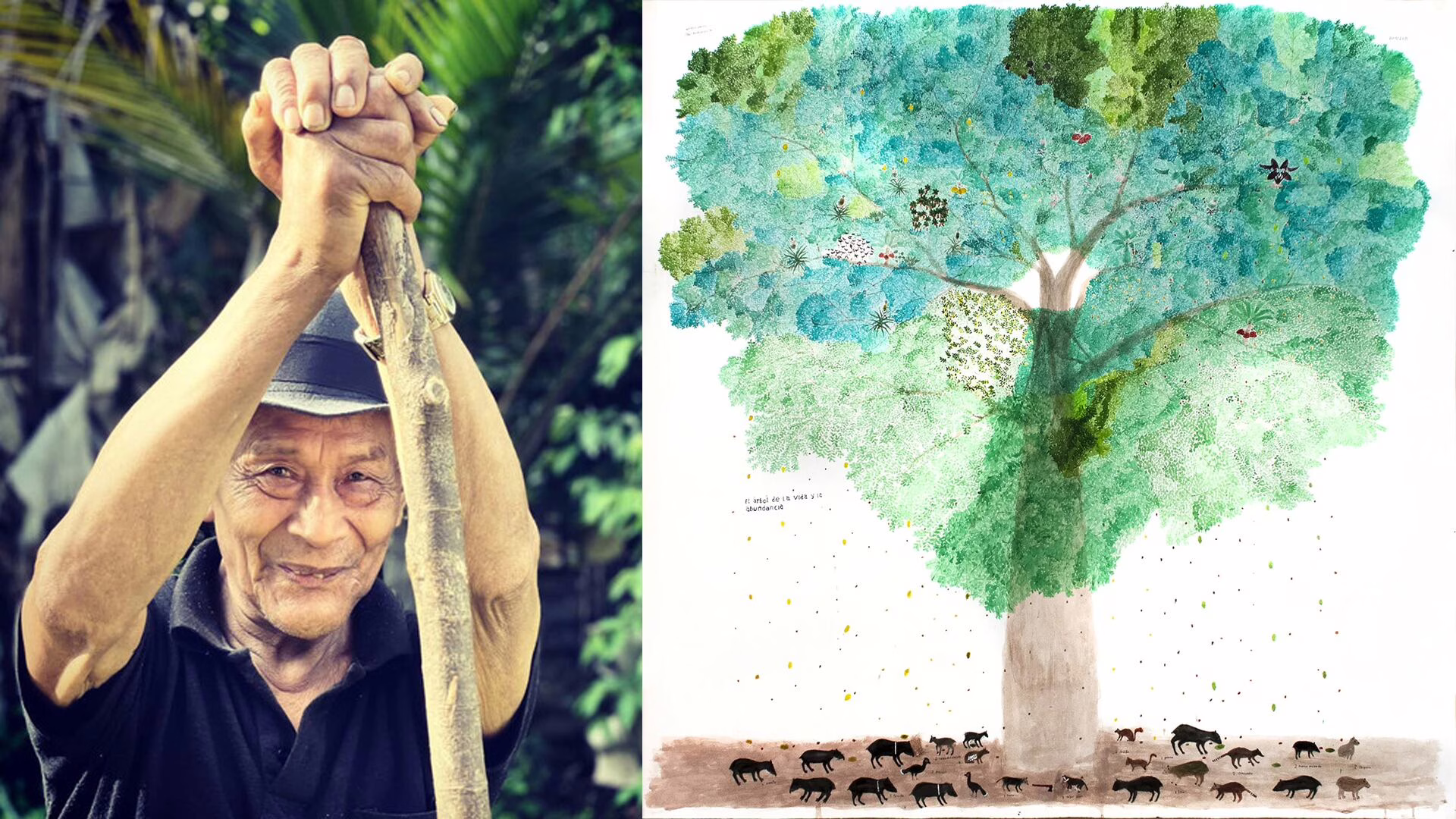 colombia-despide-a-abel-rodriguez,-el-sabio-indigena-“nombrador-de-plantas”