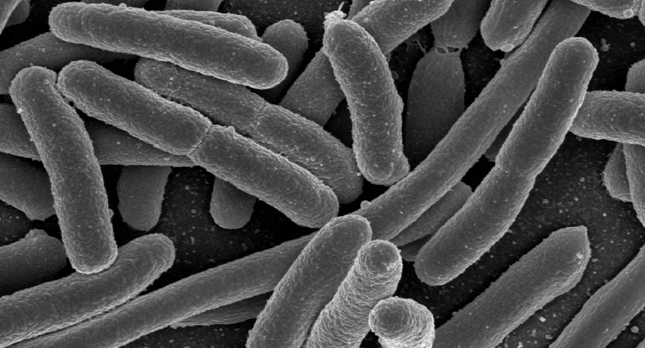 un-estudio-vincula-una-toxina-bacteriana-en-los-ninos-a-la-“epidemia”-de-cancer-colorrectal-en-los-adultos-mas-jovenes