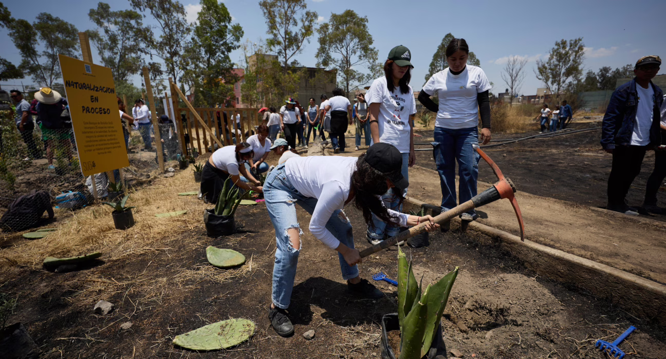 miyawaki-en-nezahualcoyotl:-el-metodo-japones-para-crear-bosques-llega-a-mexico