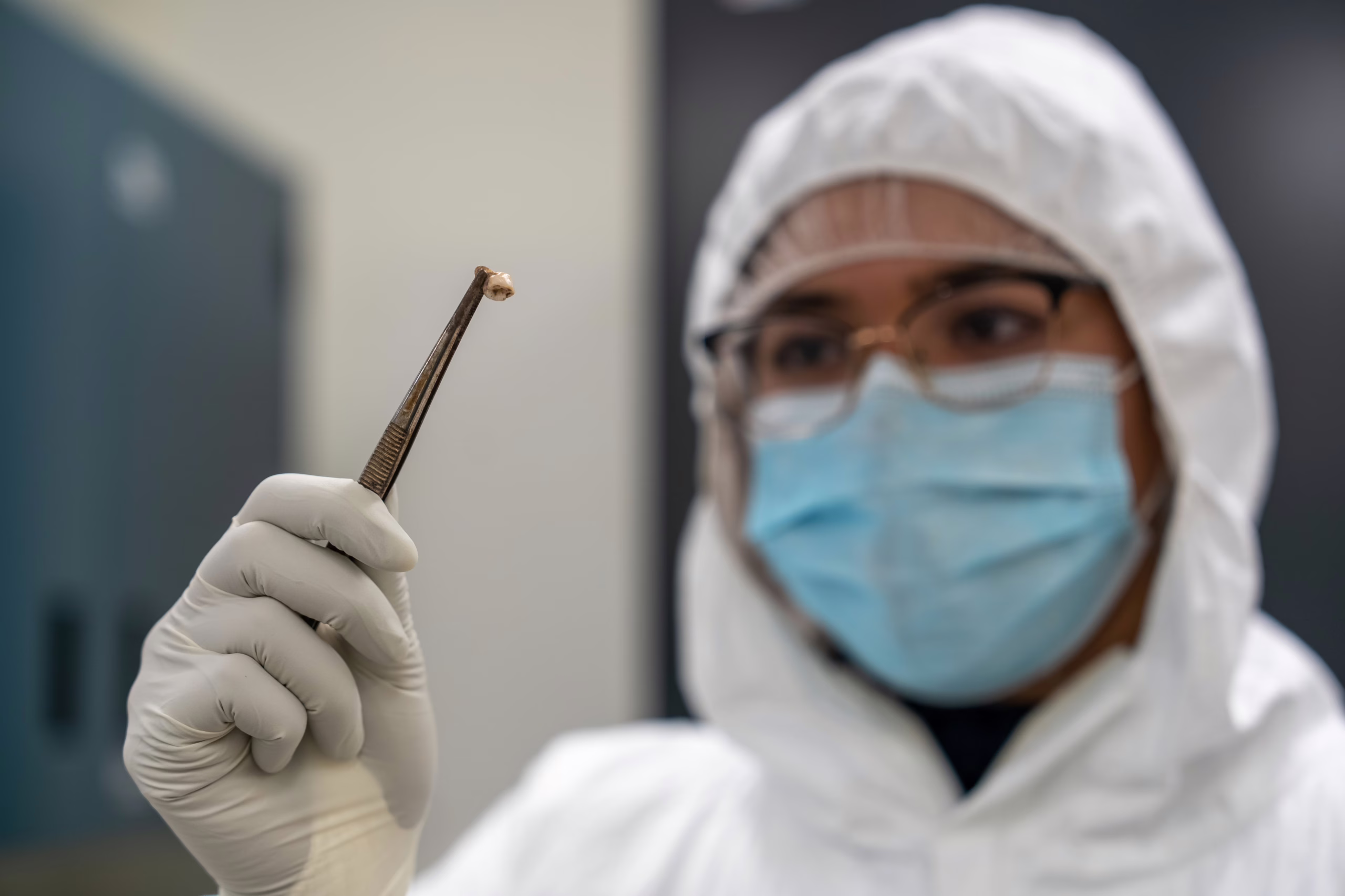 la-bacteria-mas-asesina-de-la-historia-redujo-su-virulencia-para-poder-seguir-matando-a-millones-de-personas