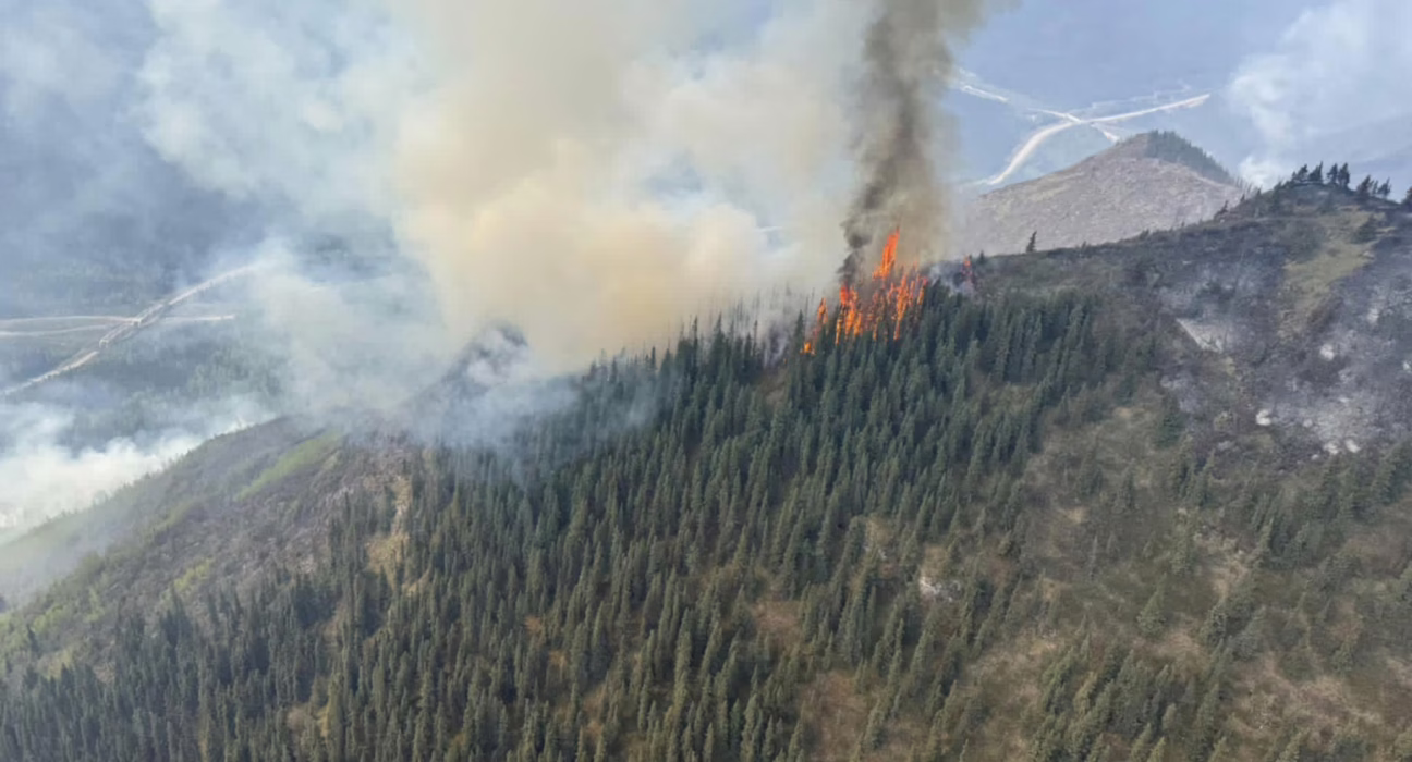 los-incendios-en-canada-se-extienden-sin-control