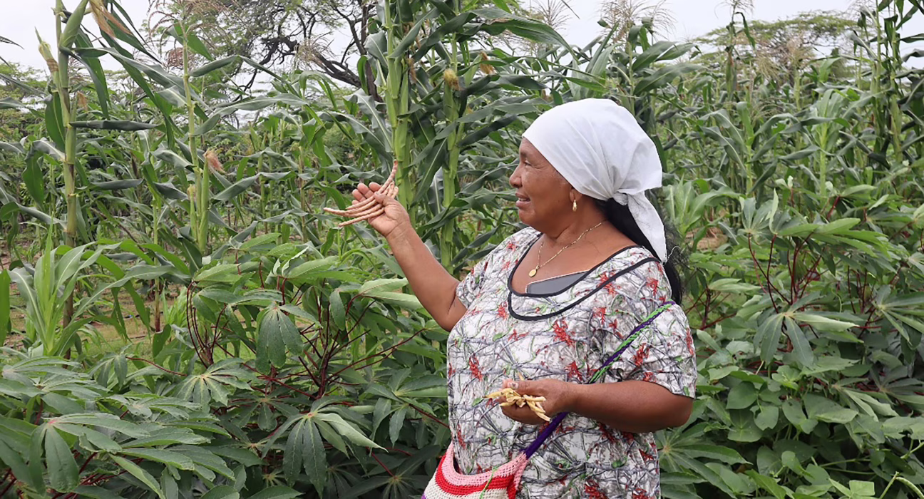 las-mujeres-wayuu-que-desafian-al-desierto:-“¡nuestra-tierra-ahora-esta-viva!”